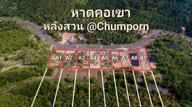 ขายที่ดิน โฉนดครุฑแดง หาดคอเขา หลังสวน ชุมพร โฉนดพร้อมโอน