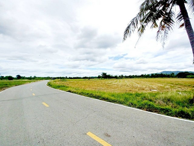 ขายที่ดินติดถนนลาดยาง เมืองกาญจนบุรี 9 ไร่ เป็นที่นา วิวดี มองเห็นวิวภูเขา ใกล้แหล่งชุมชน