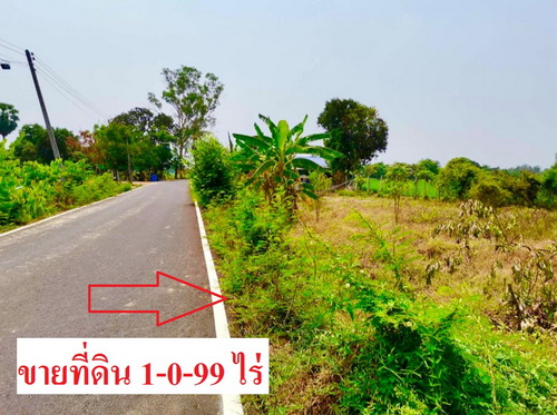 ขายที่ดิน 1-0-99 ไร่ หน้ากว้าง 79 เมตร ลึก 38 เมตร ทำเลดี อ.สรรคบุรี จ.ชัยนาท