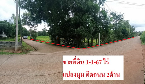 ขายที่ดิน 1-1-67 ไร่ ทำเลดี ติดถนนคอนกรีต 2ด้าน อยู่ในเขตเทศบาลตำบลประคำ บุรีรัมย์