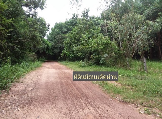 ที่ดินสวยติดลำโดมน้ำ ใกล้แหล่งท่องเที่ยวธรรมชาติ อ.เดชอุดม จ .อุบลราชธานี ใกล้ปท.ลาว