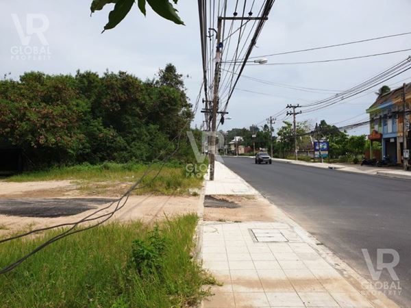 ขายที่ดินบนเกาะสมุย ขนาด 4-3-64 ไร่ มีความอุดมสมบูรณ์มาก เหมาะสำหรับการพัฒนาเป็นรีสอร์ต, ร้านอาหาร, ที่พักส่วนตัว