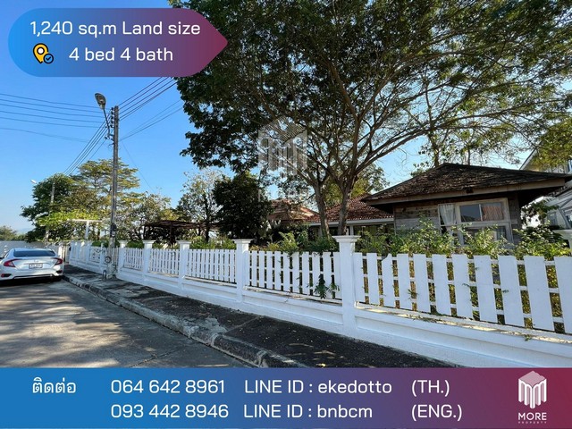 บ้าน -ต.บวกค้าง 6990000 BAHT. 4Bedroom 10 SQ.WA 3 ngan 0 Rai ใกล้ -ต.บวกค้าง คุยถูกคอมีราคาพิเศษ เชียงใหม่