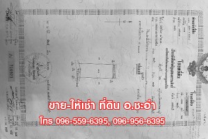 ขาย,ที่ดินเปล่า,ขาย ให้เช่า ที่ดินเปล่า ชะอำ เพชรบุรี 3 ไร่ ที่สวย ใกล้หัวหิน,ขาย ให้เช่า ที่ดินเปล่า ชะอำ เพชรบุรี 3 ไร่ ที่สวย ใกล้หัวหิน,มือสอง,ซอยบ่อแขม,ที่ดินชะอำเพชรบุรี,ที่ดินเปล่า